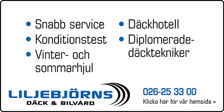 Liljebjörns Däck & Bilvård